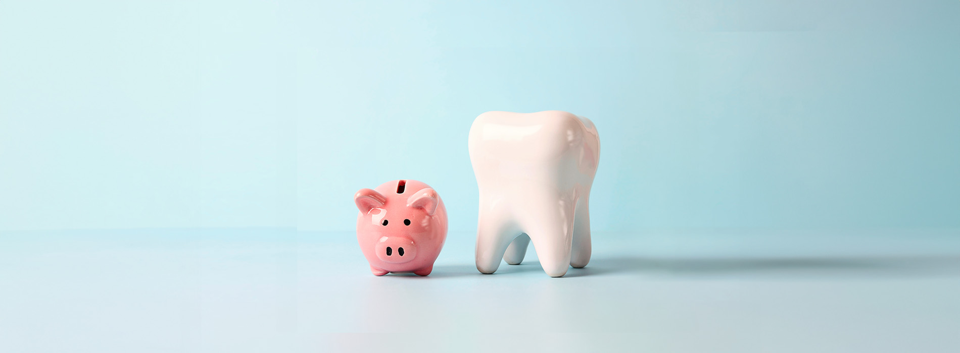 Toothbrush and piggy bank on a light blue background.